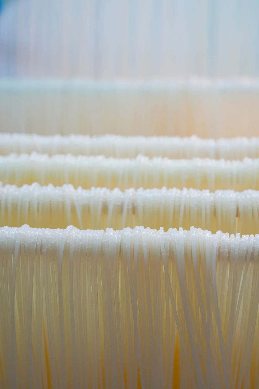 The Case for Fine Dried Rice Noodles